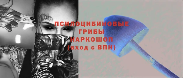 тгк Зеленодольск