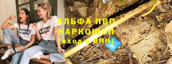 тгк Зеленодольск