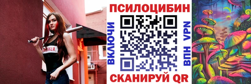 Галлюциногенные грибы Psilocybe  цены наркотик  дарк нет формула  Кызыл 